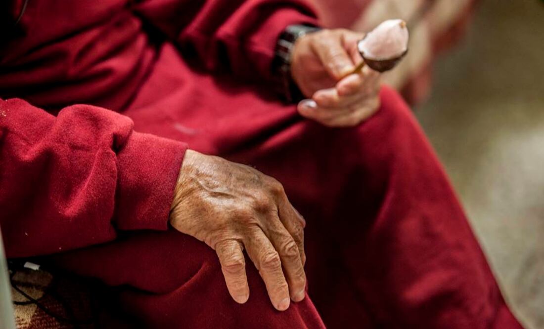 Una microflora pobre estaría relacionada con la fragilidad en la vejez, asegura uno de los trabajos del especial encabezado por Paul O'Toole, del University College de Cork, en Irlanda. FOTO: Yadín Xolalpa/Archivo EL UNIVERSAL.