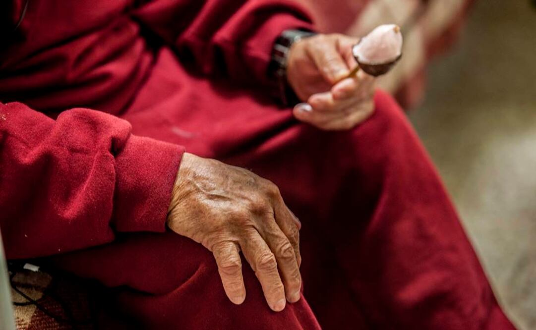 Una microflora pobre estaría relacionada con la fragilidad en la vejez, asegura uno de los trabajos del especial encabezado por Paul O'Toole, del University College de Cork, en Irlanda. FOTO: Yadín Xolalpa/Archivo EL UNIVERSAL.