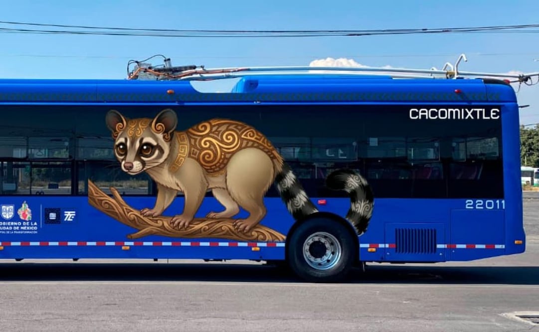 Trolebús estrenará rutas rumbo al Mundial; unidades mostrarán especies nativas de la capital.
Foto: Especial.