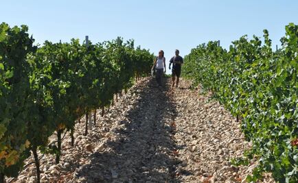Los vinos blancos de Cuatro Rayas llegan a México