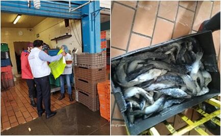 Inician operativo por Semana Santa en mercado de La Nueva Viga