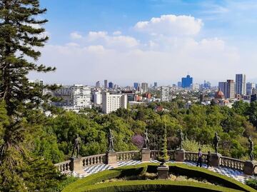 Aumenta polen en atmósfera de CDMX, ¿qué tipo te provoca alergia?