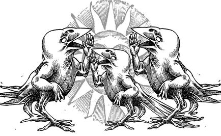 El secreto de los pájaros