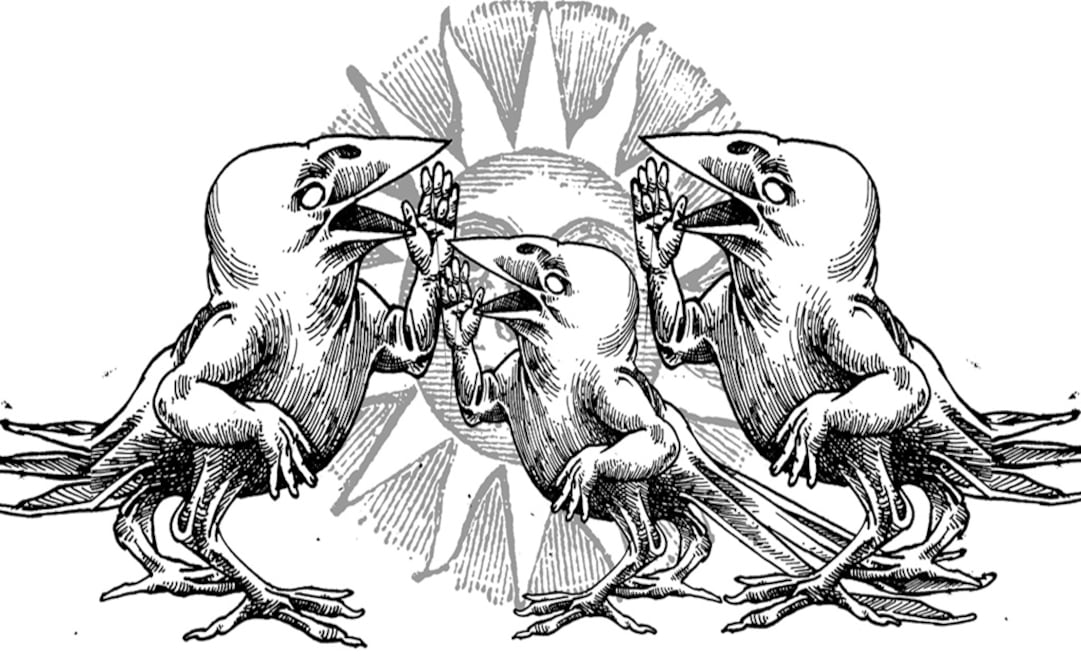 El secreto de los pájaros