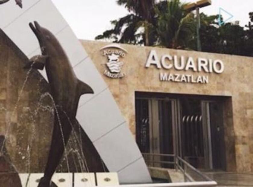 Foco. ¿Otro molito, señor senador?