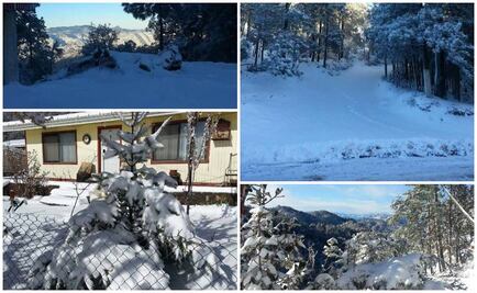 Entérate. Recomendaciones al conducir durante nevadas