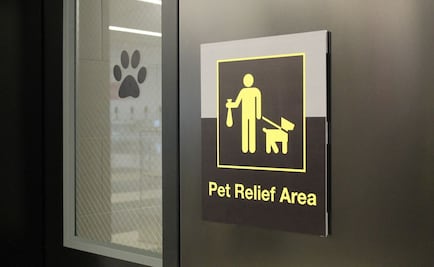Instalan baño para perros en aeropuerto de NY