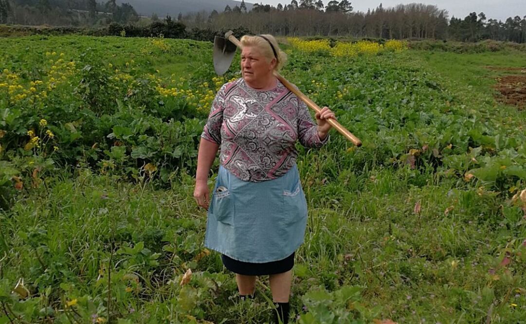 Hallan en la campiña española a la 'doble' de Trump; foto arrasa las redes