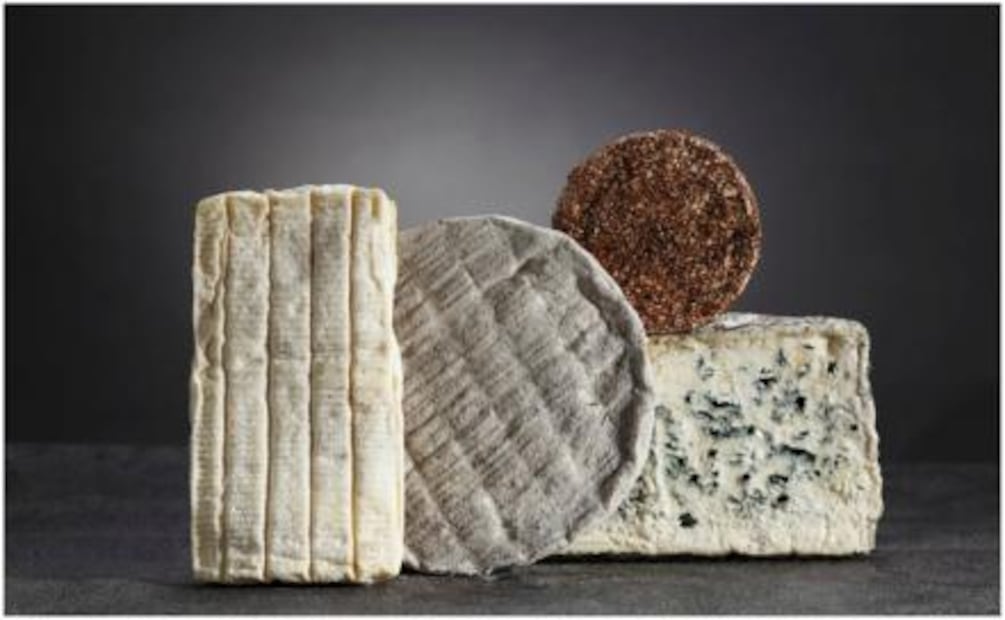 Descubre el delicioso mundo del queso