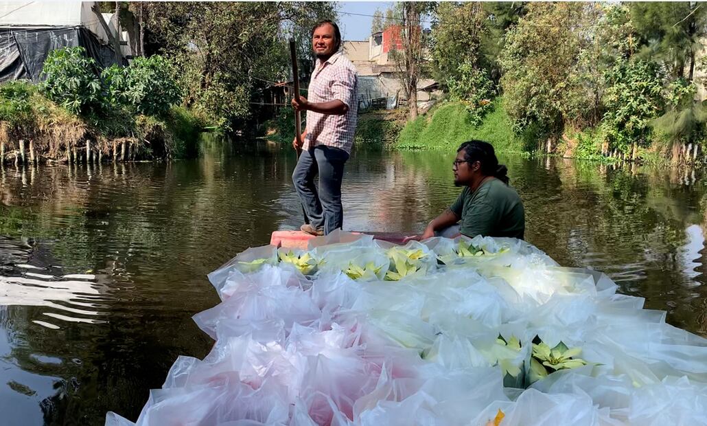 El chinampero José Luis García, es parte de la cuarta generación de productores del barrio de Coltongo, en donde este año produjo más de 8 mil nochebuenas de diferentes tamaños, el 3 de diciembre de 2025. Foto: Alberto González/EL UNIVERSAL