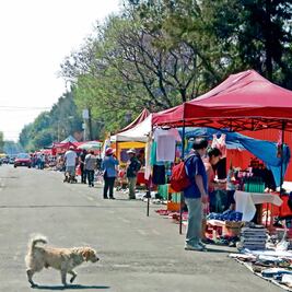 Comerciantes avalan medidas por seguridad 