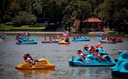 Cuánto cuesta un paseo en lancha en el lago de Chapultepec