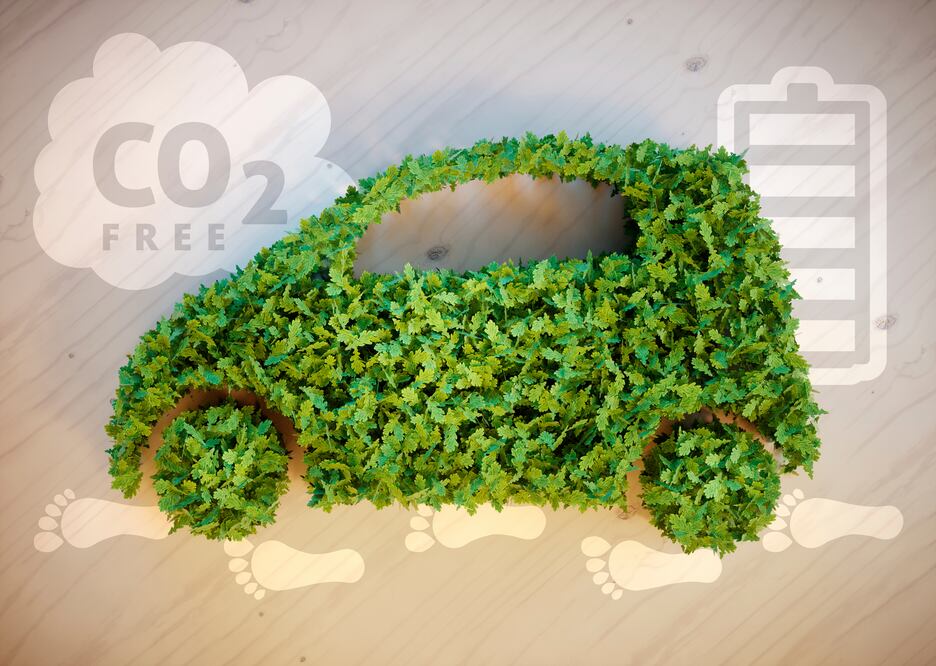  Arrendamiento de autos ecológicos