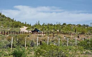 EU retoma construcción de muro fronterizo entre Arizona y México; continúa pese a protestas de la Nación Tohono O’odham