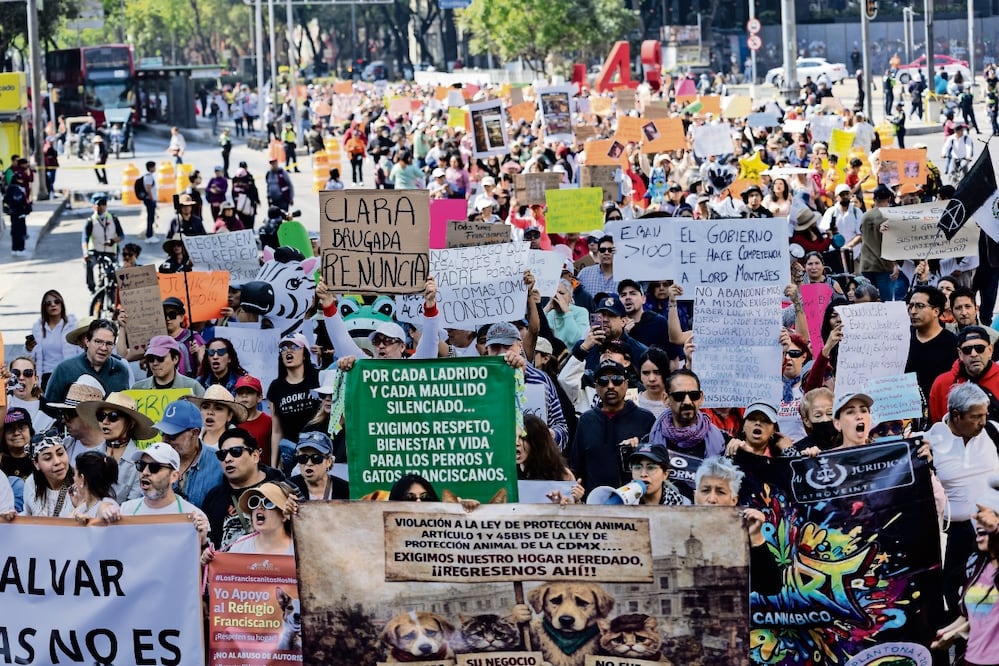 Cientos de animalistas y rescatistas marcharon al Zócalo para exigir la devolución de los perros y gatos del Refugio Franciscano; acusaron despojo. Foto: de Hugo Salvador. El Universal