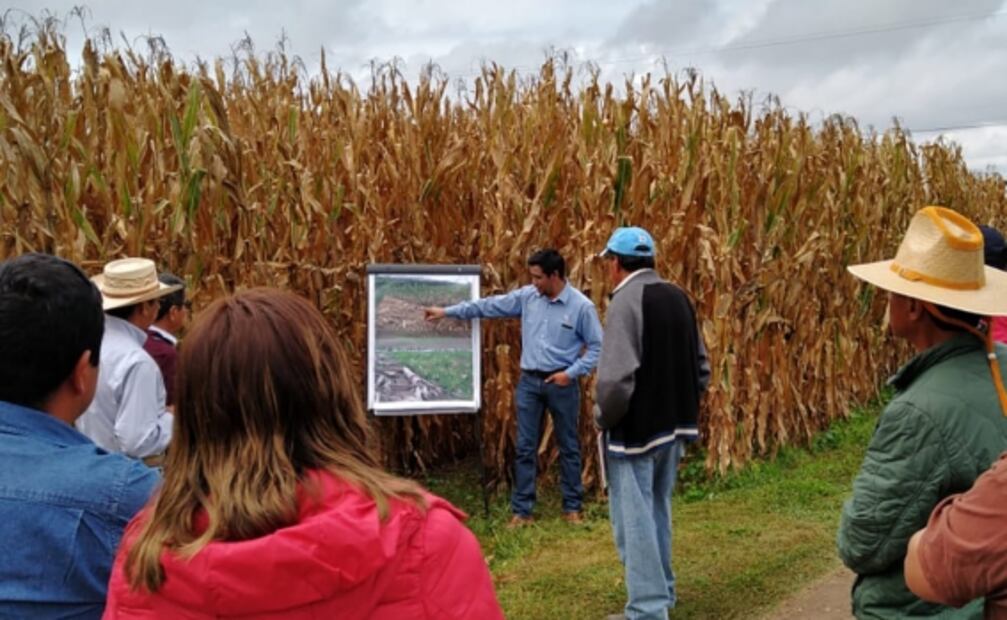 Bimbo apuesta por la agricultura regenerativa
