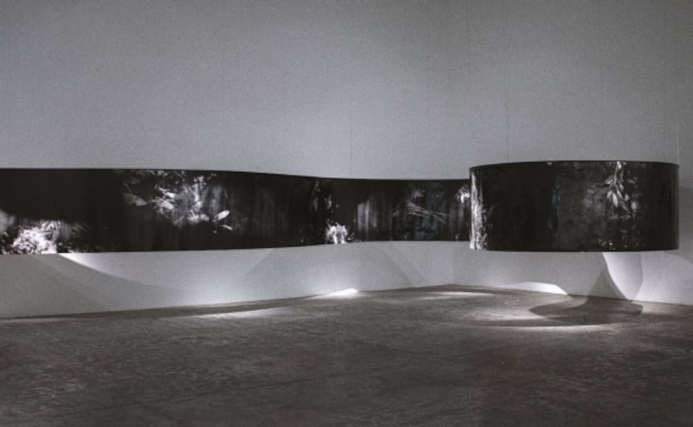 Hoy reabre el MUAC con tres exposiciones