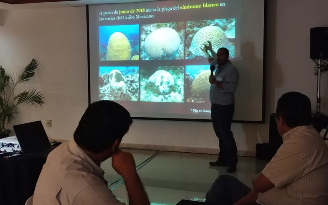 Foto: Adriana Varillas