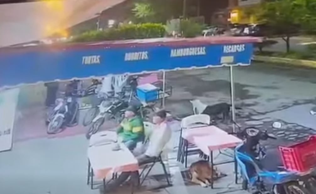 La agresión quedó registrada en un video de 28 segundos captado desde las cámaras de una vivienda. Foto: Captura de pantalla
