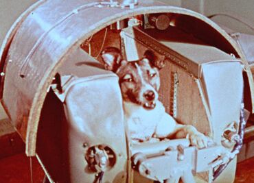 Cuando la perra Laika voló por el cielo de México, durante su viaje espacial en el Sputnik II