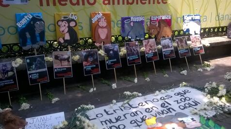 Protestan por muertes de animales en Chapultepec 