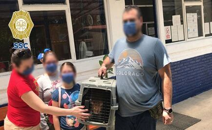 Adoptan a mascotas para aprovechar el quédate en casa