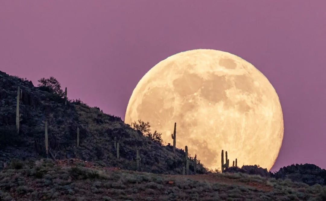 Así se vio la primera superluna del 2026 desde diversas partes de México. Foto: Kevin O'Donnell