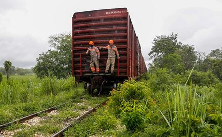 Localizan cerca de tres mil vestigios arqueológicos en ruta del Tren Maya