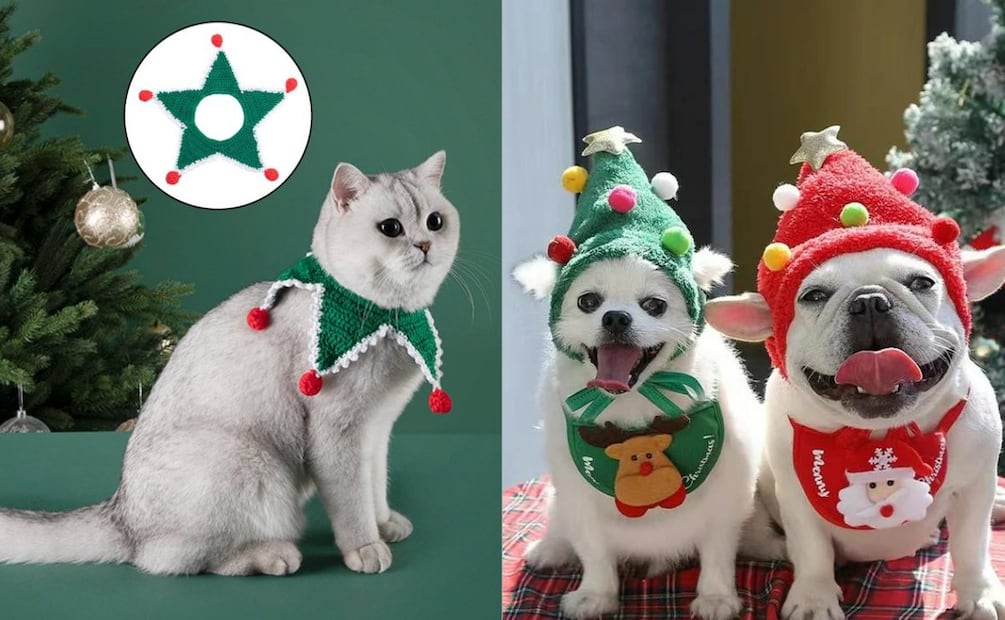 Foto: Bodega Aurrera y Walmart