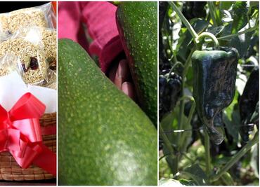 Puebla va por denominación de origen de amaranto, chile poblano y aguacate fuerte