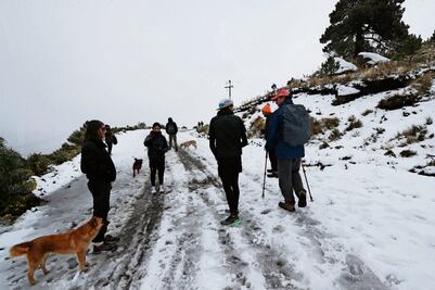 Disfrutan turistas clima gélido en el Nevado de Toluca