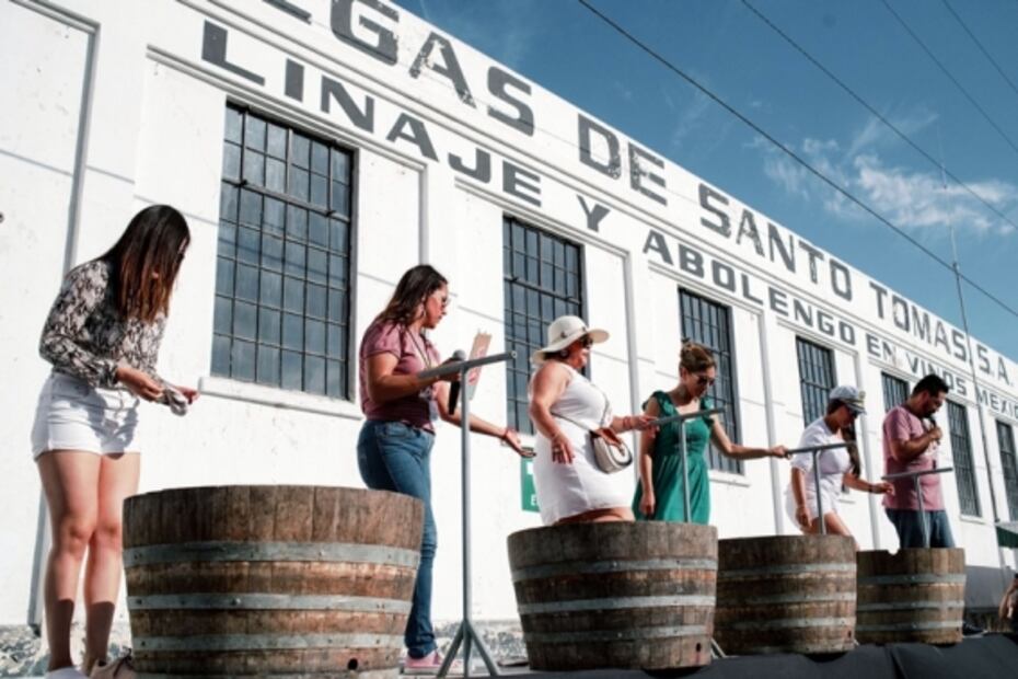 Inauguran espacio cultural con el sello del vino mexicano