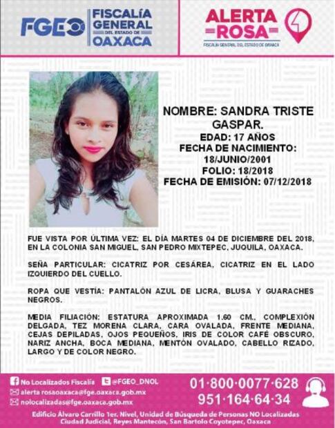 Durante noviembre se reportaron 31 desaparecidos en Oaxaca