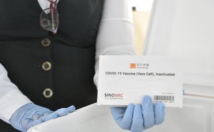 Arriba lote de 21 mil 115 dosis de vacunas de Sinovac a Sinaloa