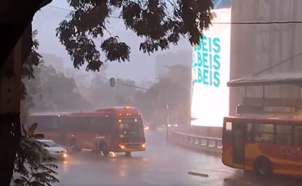 Lluvias intensas y vientos dejan caída de árbol y encharcamiento en la CDMX  