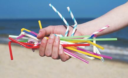 Aprueban en Pátzcuaro reglamento para campaña “Cero Plásticos”