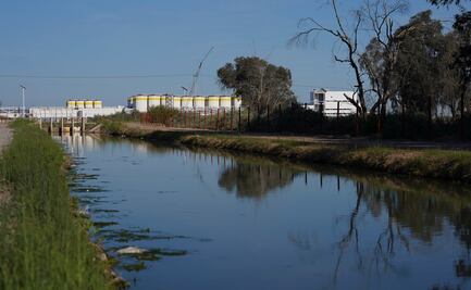 IMEF rechaza consulta sobre construcción de Constellation Brands