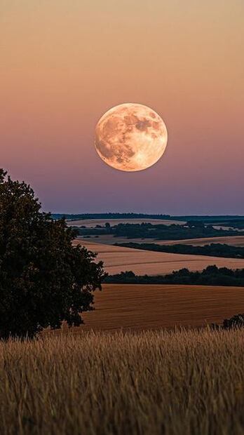 La Luna sigue siendo un campo de oportunidades tanto para la ciencia como para la humanidad. Fuente: Freepik.