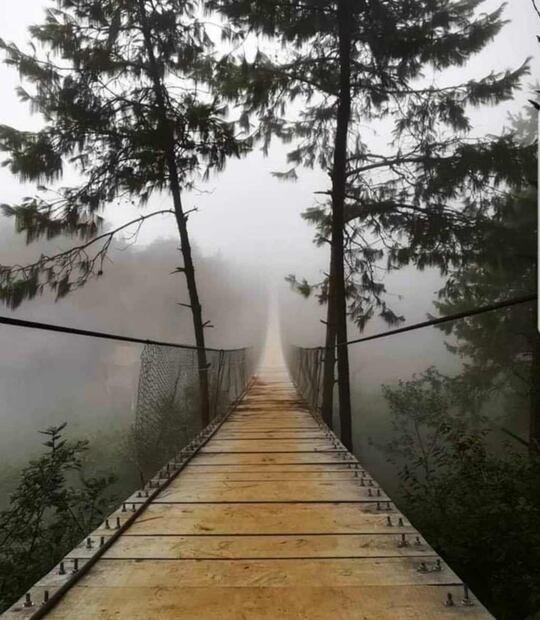 Foto: Facebook Cascadas Paraíso