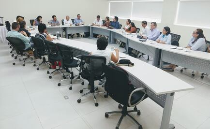 Quintana Roo forma comité científico para atender el sargazo