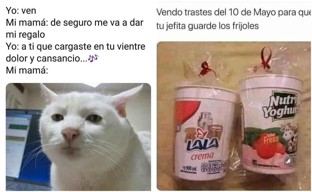 Meme respecto al Día de las Madres. Foto: Twitter