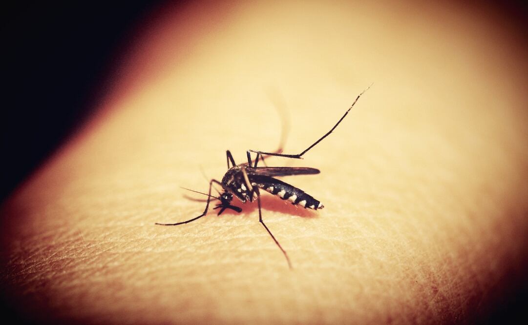 ZzappMalaria ya está siendo probada en localidades de África. Imagen Pixabay 