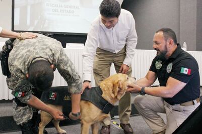 Fiscalía jubila a perro policía con 10 años de servicio