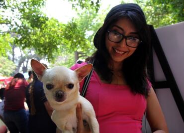 Científicos ven en tener mascotas beneficios para la salud