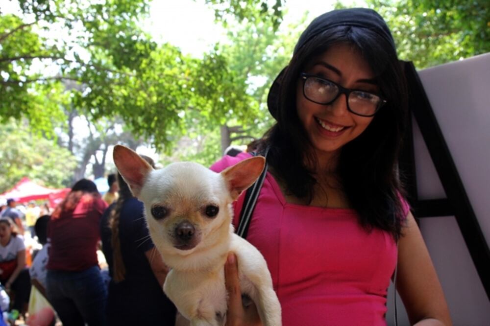 Foto: Archivo Notimex 