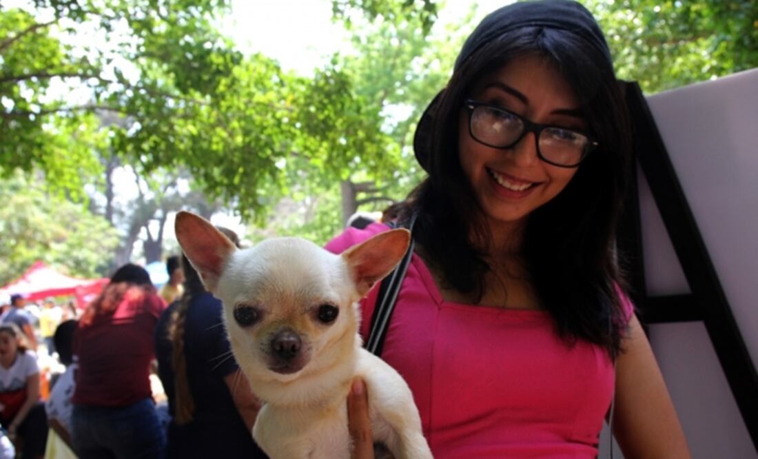 Foto: Archivo Notimex