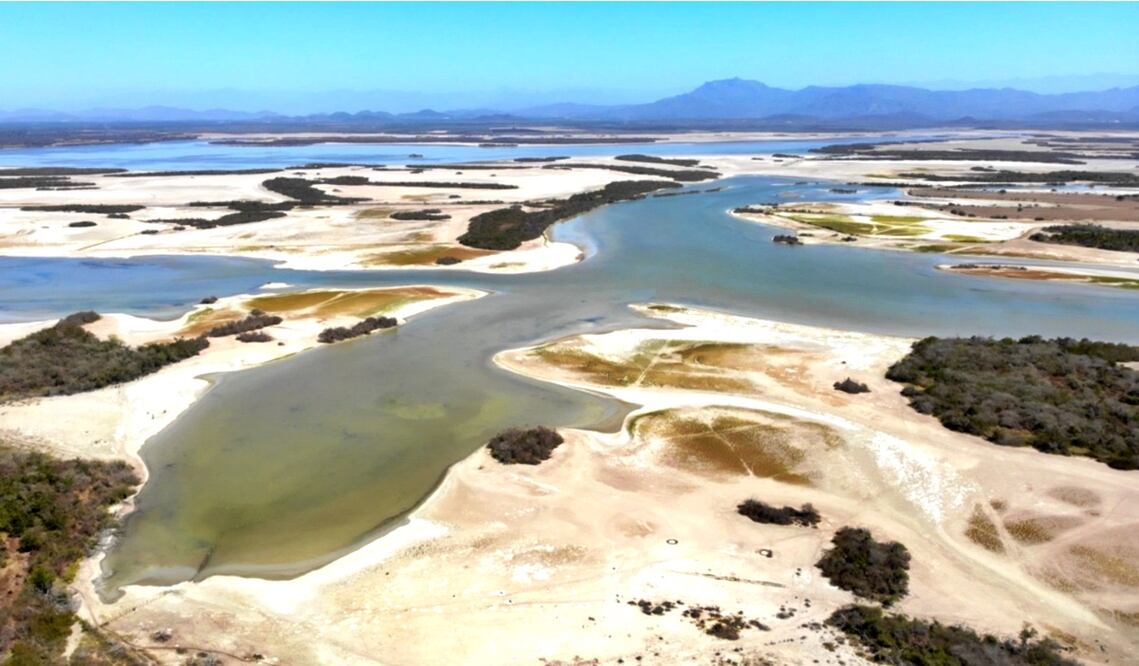 El Ejecutivo Federal declaró Área Natural Protegida “Juan M. Banderas”, con el carácter de área de protección de flora y fauna. Foto: especial