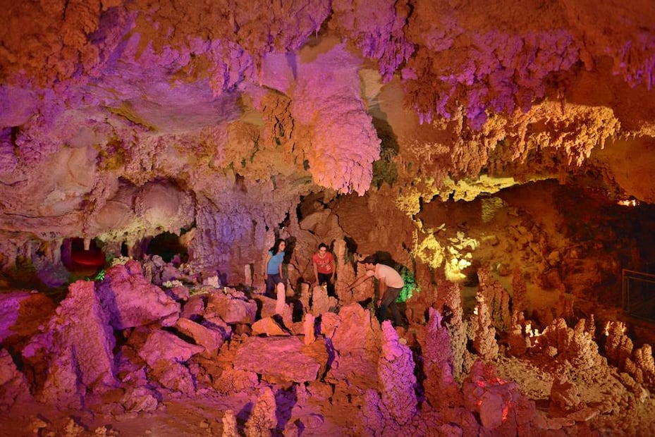 Foto: Fidetur ¡Ah Chihuahua!