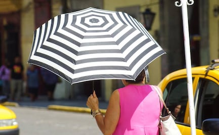 Prevén ambiente templado a cálido para este sábado 21 de junio en la CDMX; temperatura máxima será de 20 grados