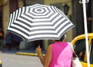 Prevén ambiente templado a cálido para este sábado 21 de junio en la CDMX; temperatura máxima será de 20 grados